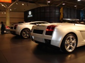 Lamborghini Gallardo Back.JPG